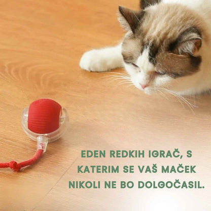 Pametna in interaktivna žogica za vašo mačko – Polnjenje prek USB-ja