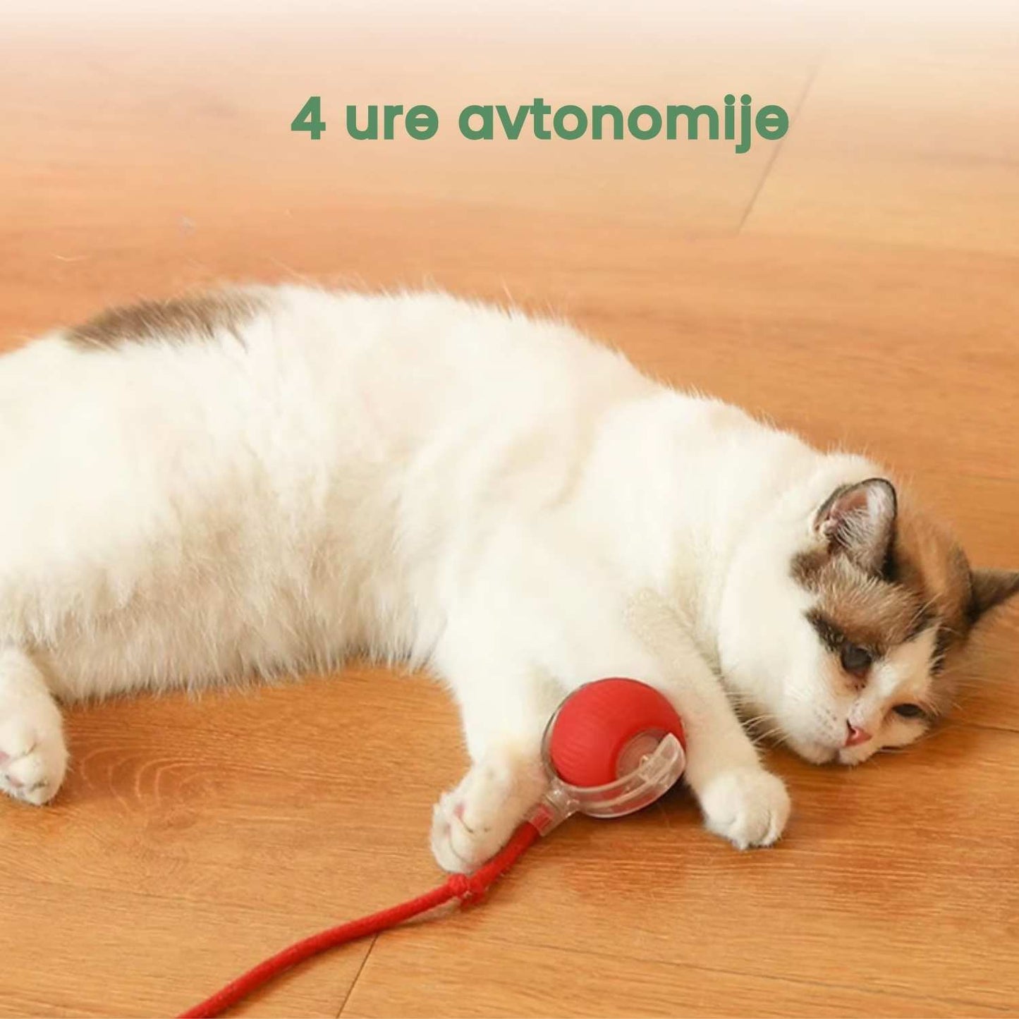 Pametna in interaktivna žogica za vašo mačko – Polnjenje prek USB-ja